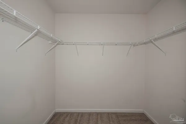 a close view of a shower in a bathroom