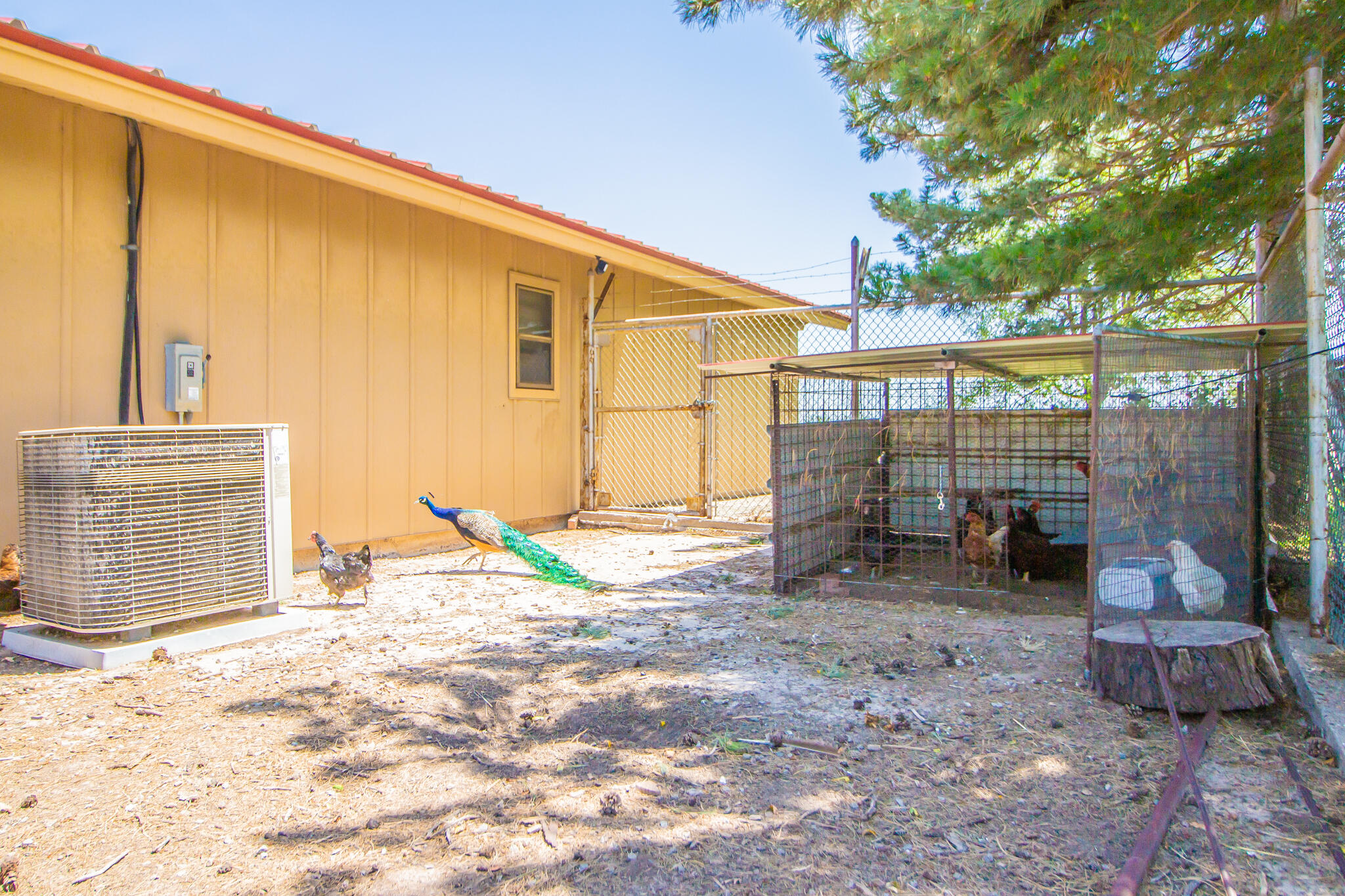 1181 Fm 2236 Ralls, TX 79357 - Photo 38 of 42 a view of a house with backyard and sitting area