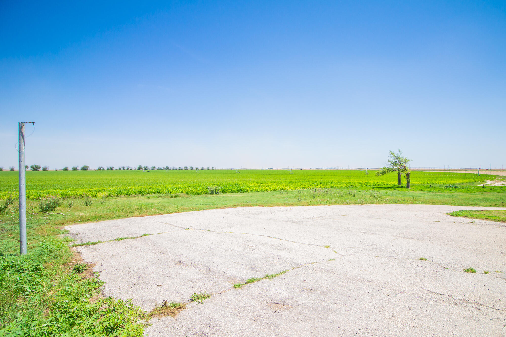 1181 Fm 2236 Ralls, TX 79357 - Photo 42 of 42 a view of a road with a big yard