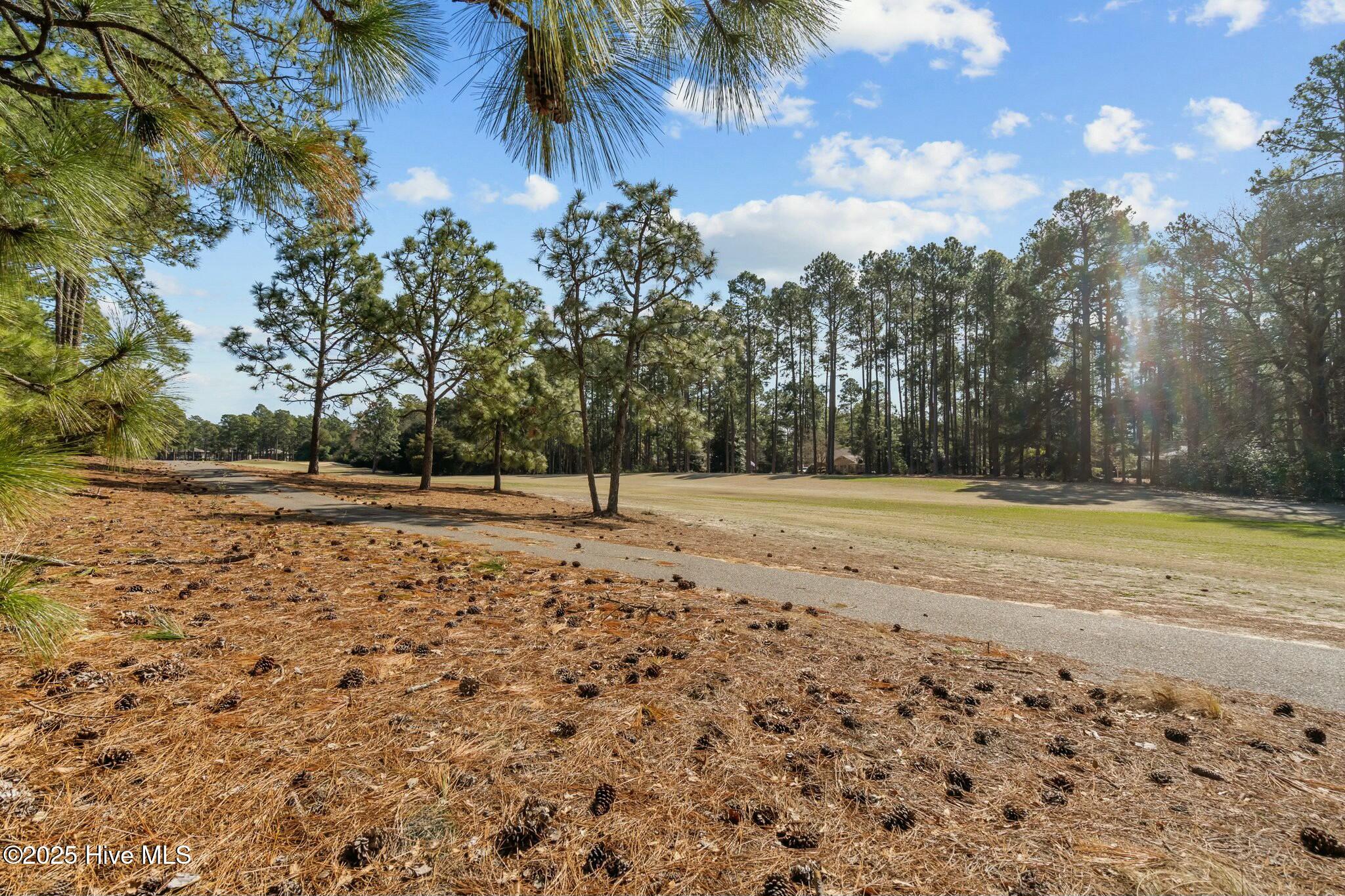 33 Richmond Road Jackson Springs, NC 27281 - Photo 45 of 55 tempImageOXIzbp