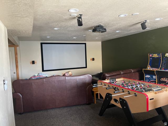 553 Raspberry Patch Road Garden City, UT 84028 - Photo 8 of 21 View of carpeted home theater