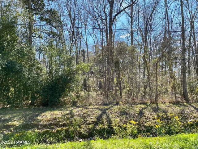 $14,500 | 517 Evelyn Street, Abbeville, LA 70510