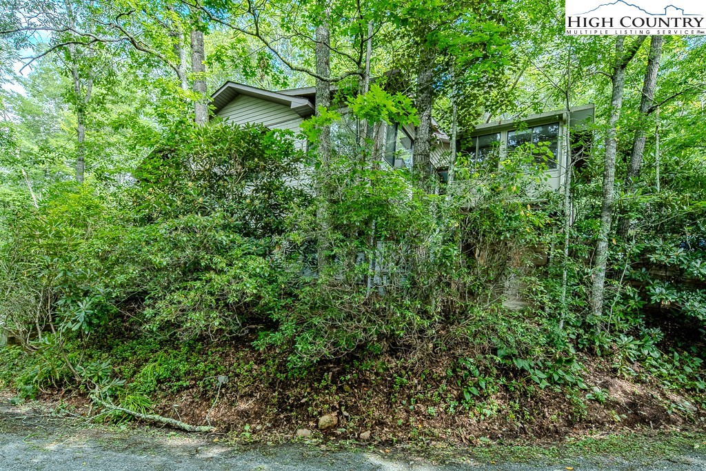 478 Laurel Hills Road Newland, NC 28657 - Photo 6 of 50