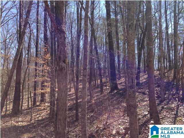0 Woolfolk Road, Unit 3 ACRES Munford, AL 36268 - Photo 24 of 24