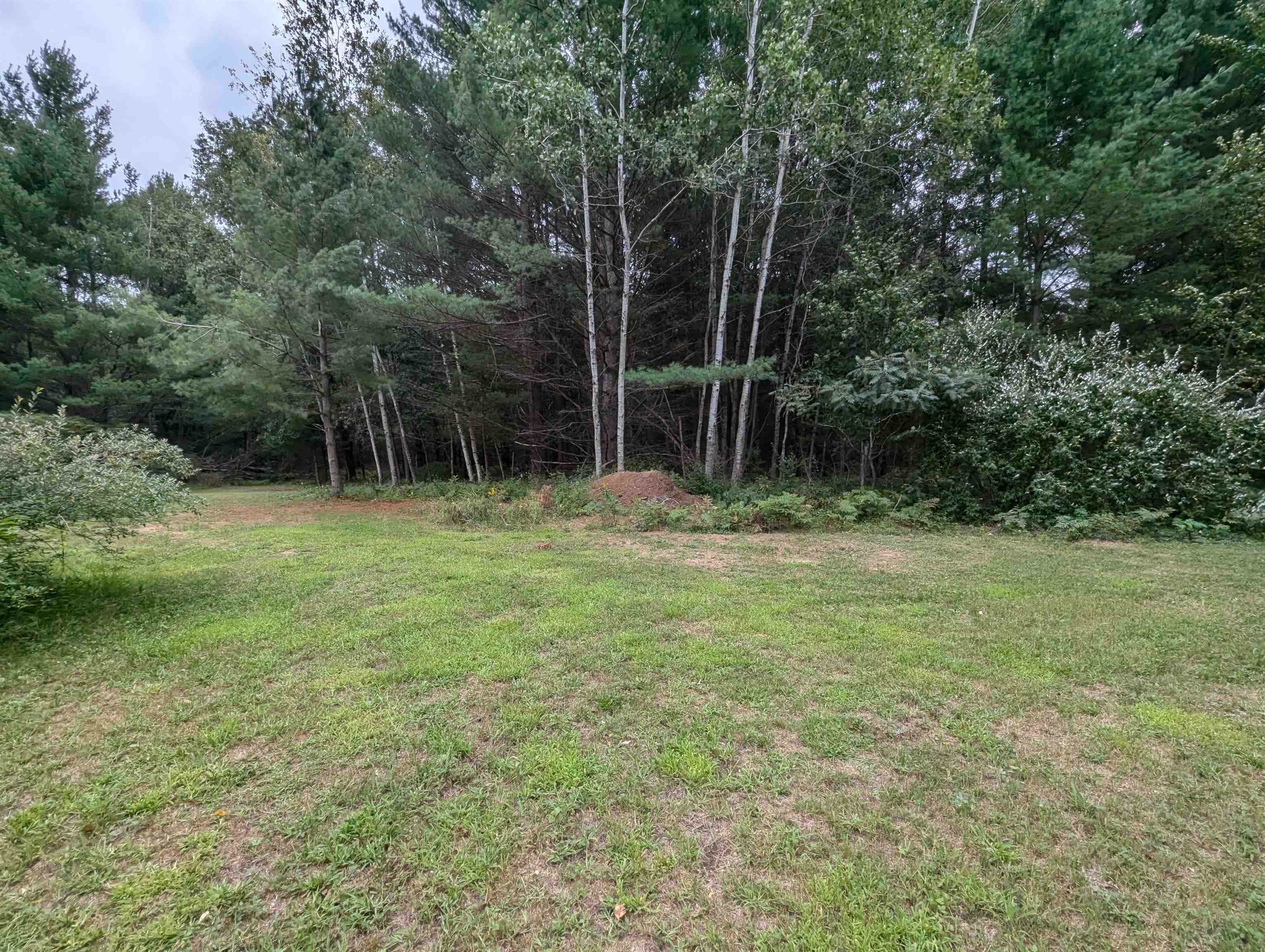 1706 North Fire Road Twining, MI 48766 - Photo 68 of 81