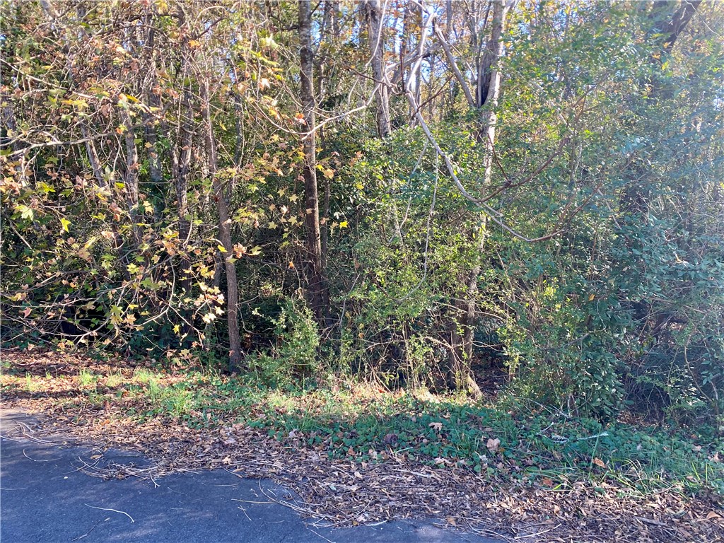 0 Ervin Street Honea Path, SC 29654 - Photo 2 of 6