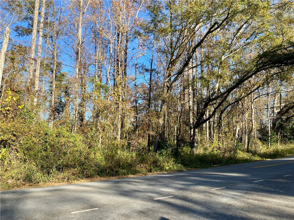 0 Ervin Street Honea Path, SC 29654 - Photo 3 of 6