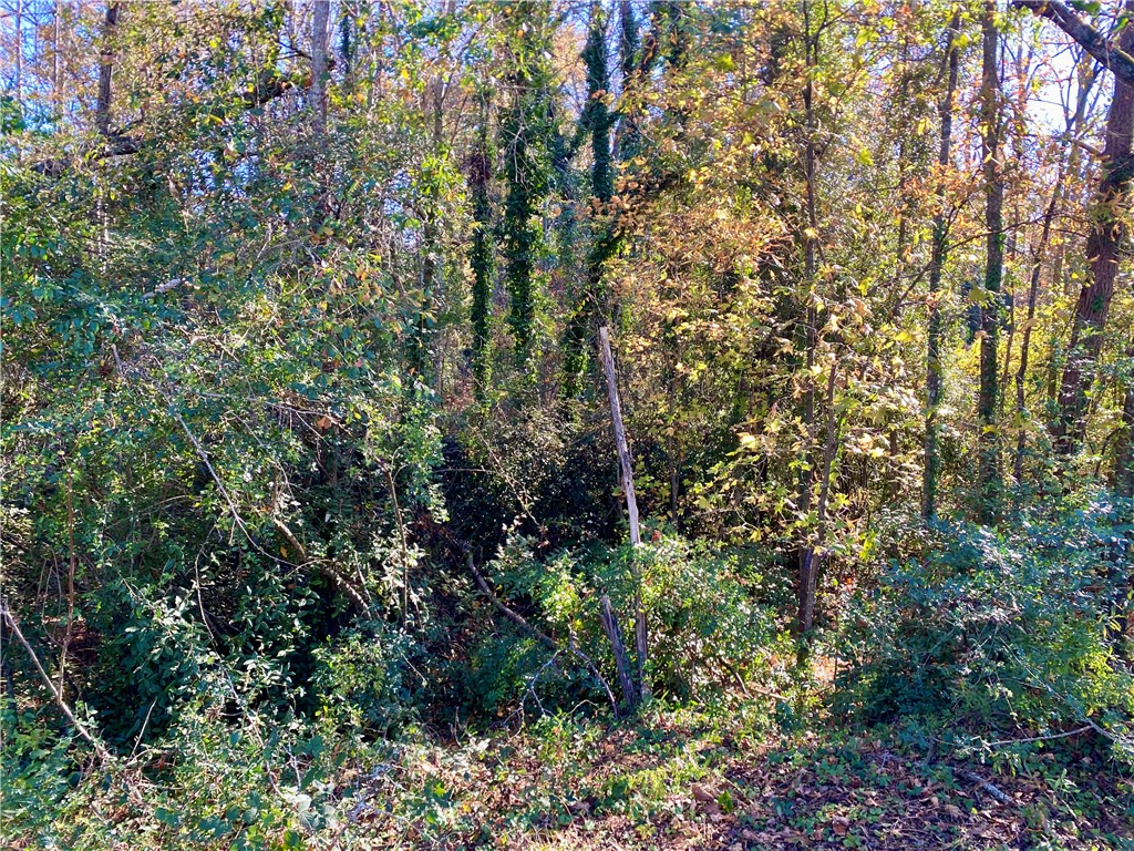 0 Ervin Street Honea Path, SC 29654 - Photo 4 of 6