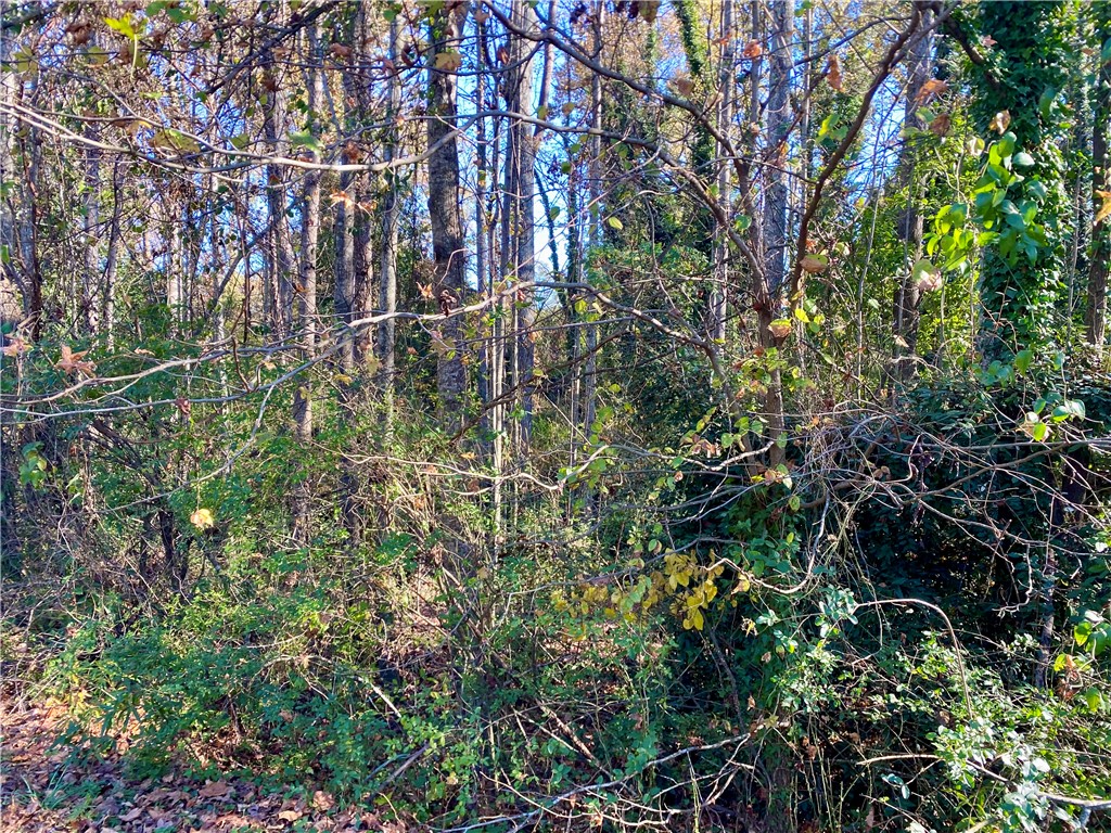 0 Ervin Street Honea Path, SC 29654 - Photo 5 of 6