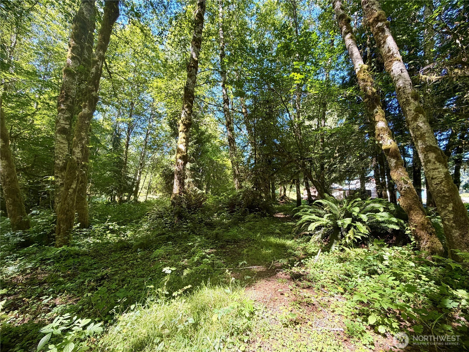 292 Sportsman Club Road Forks, WA 98331 - Photo 9 of 10 Gallery Image 9