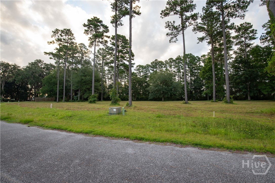 0 Northeast Baker Island Way, Unit LOT 11 Townsend, GA 31331 - Photo 19 of 29 Gallery Image 19