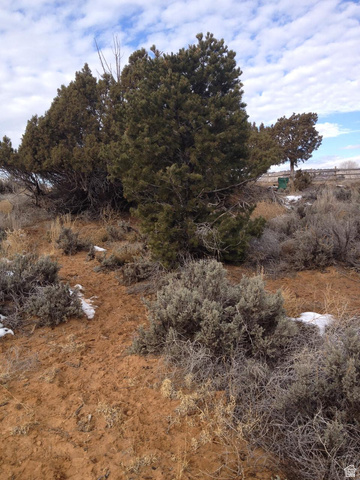 1345 South 1070 East Boulder, UT 84716 - Photo 6 of 8 View of nature
