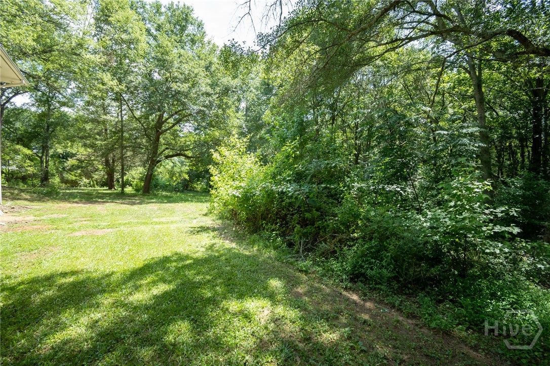 211 Plantation Road Bishop, GA 30621 - Photo 41 of 46