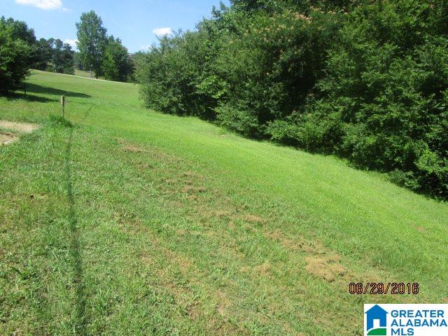4654 Campbellville Road Bremen, AL 35033 - Photo 4 of 25