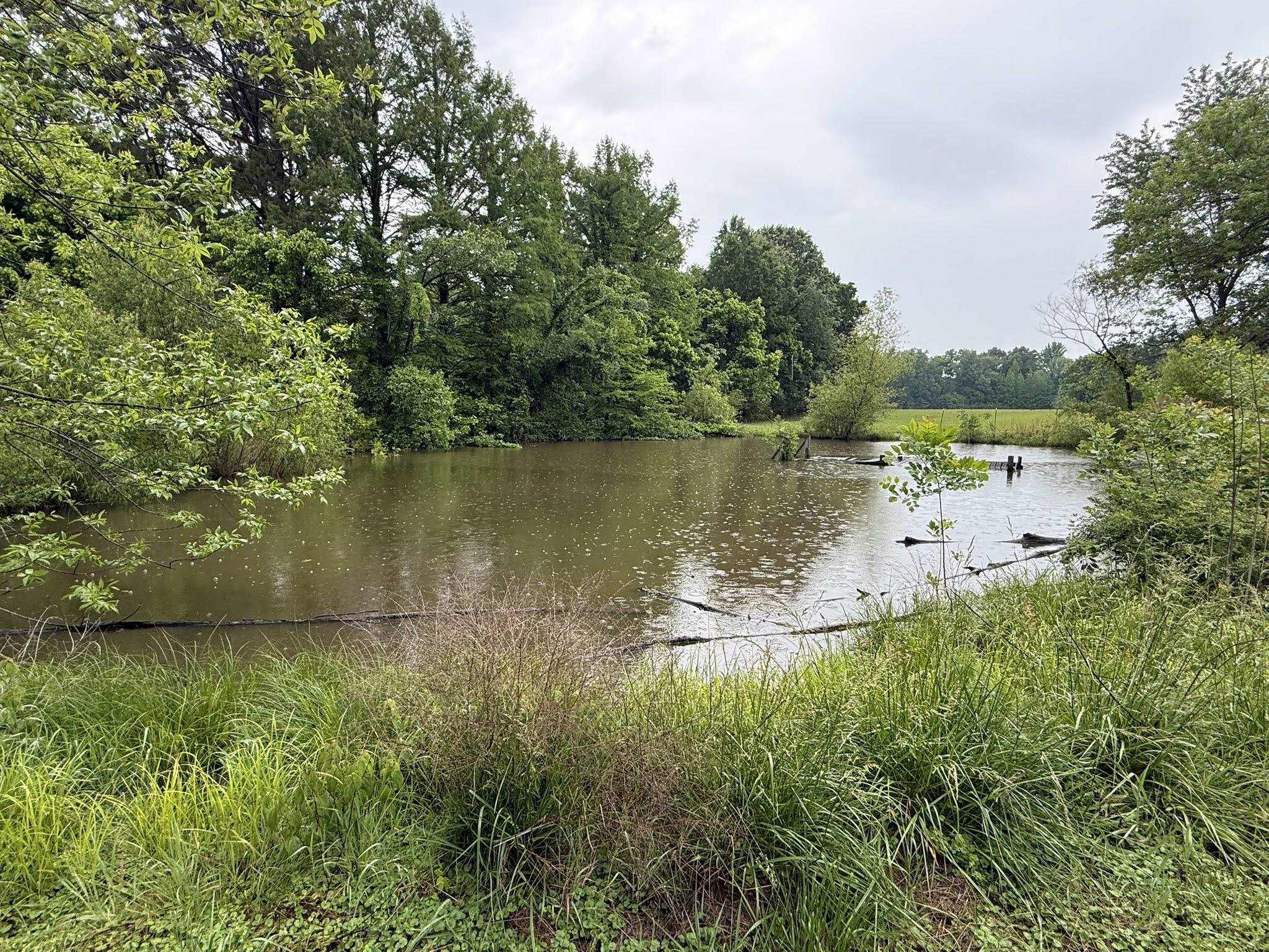 2102 Campbell Road Millington, TN 38053 - Photo 18 of 18 Expansive pond featuring surrounding foliage, mature trees, and natural vegetation