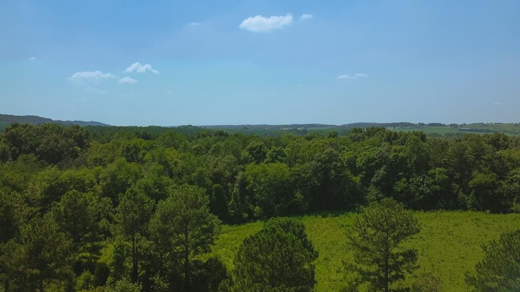 351 County Road Sweetwater, TN 37874 - Photo 1 of 14