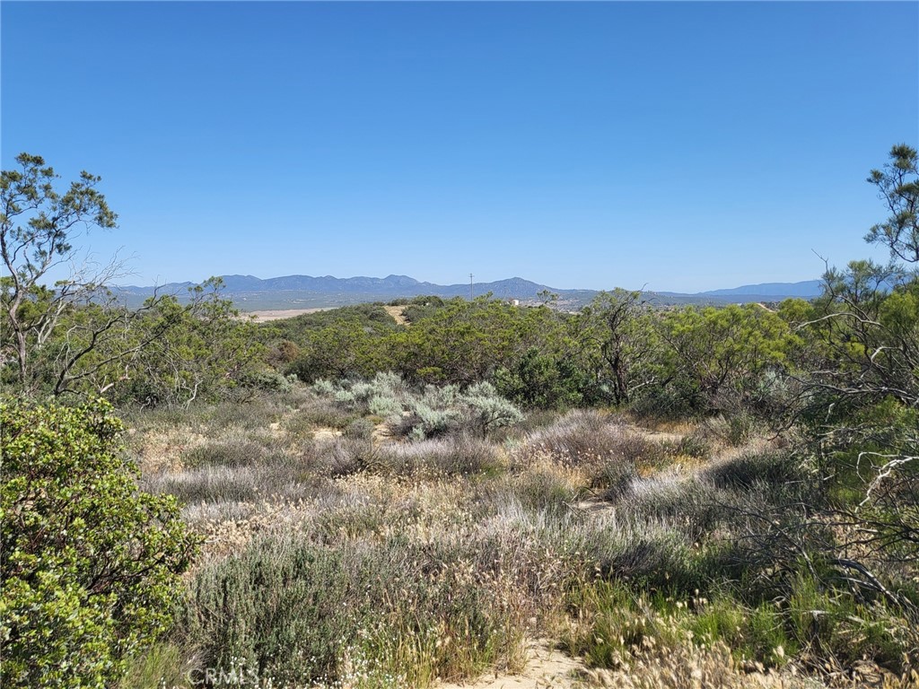 887 Forest Springs Road Aguanga, CA 92536 - Photo 20 of 35 a view of a city with lush green forest