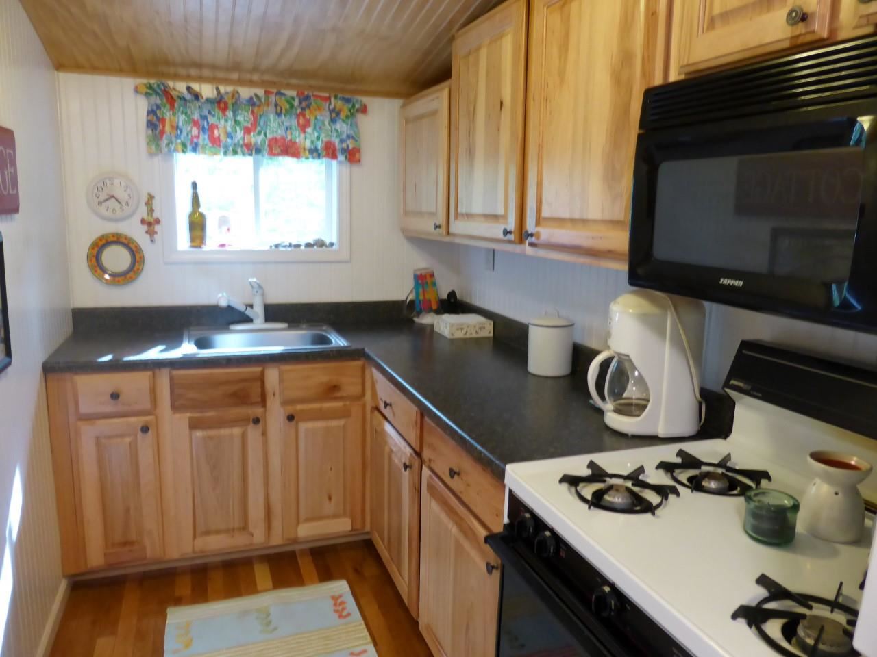 8120 Deadstream Road Honor, MI 49640 - Photo 7 of 36 1831549-6.JPG