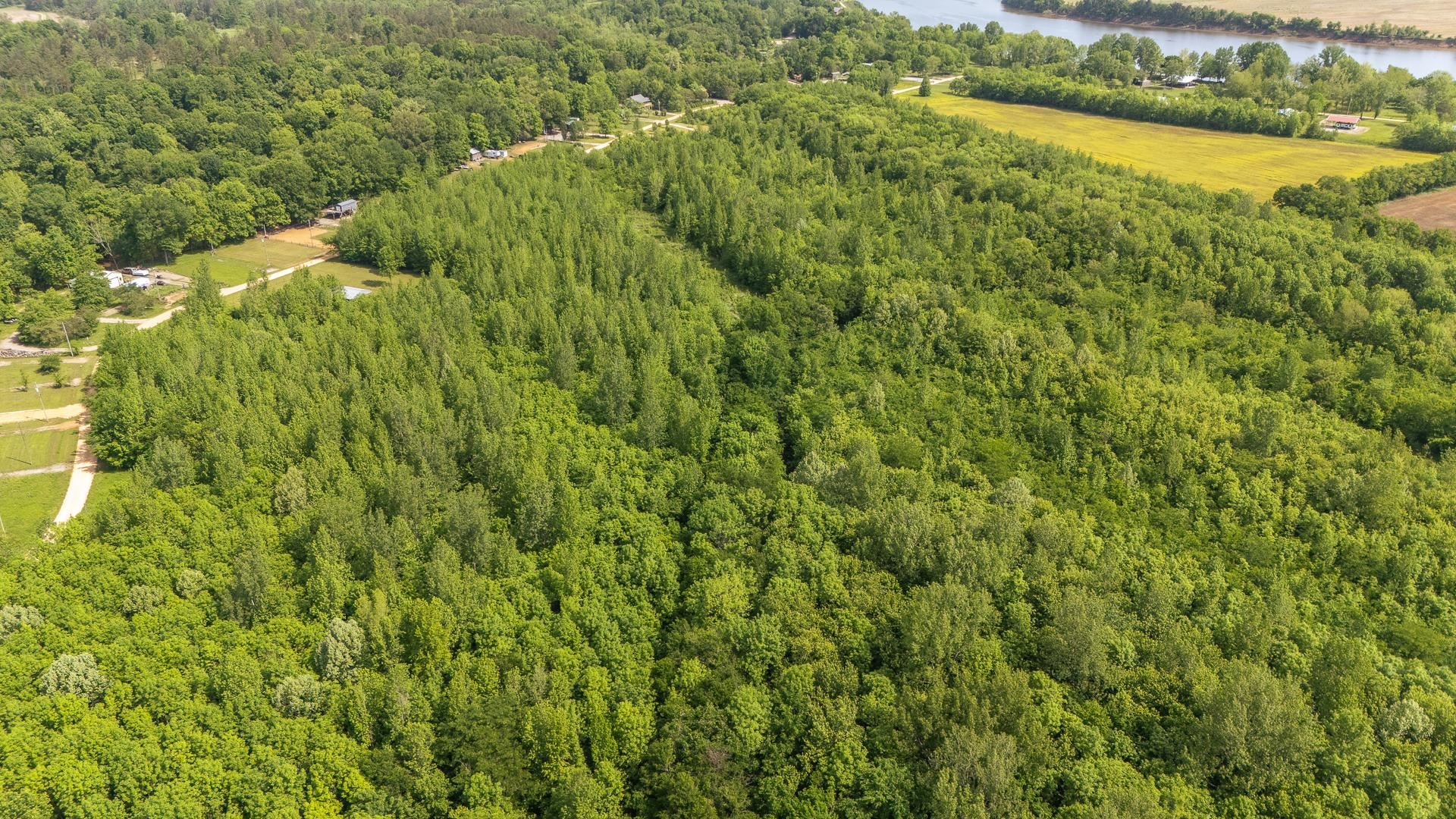 49 Coffee Landing Road Adamsville, TN 38310 - Photo 1 of 23 Birds eye view of property featuring a water view and a wooded view