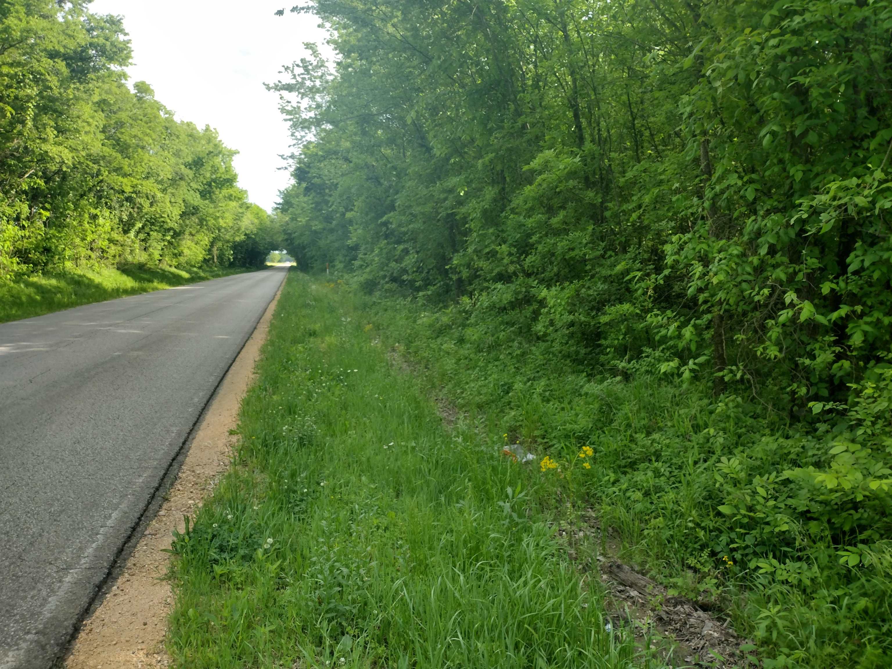 49 Coffee Landing Road Adamsville, TN 38310 - Photo 12 of 23 View of road