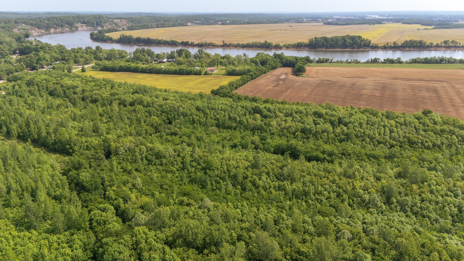 49 Coffee Landing Road Adamsville, TN 38310 - Photo 2 of 23 Birds eye view of property featuring a water view, a rural view, and a wooded view