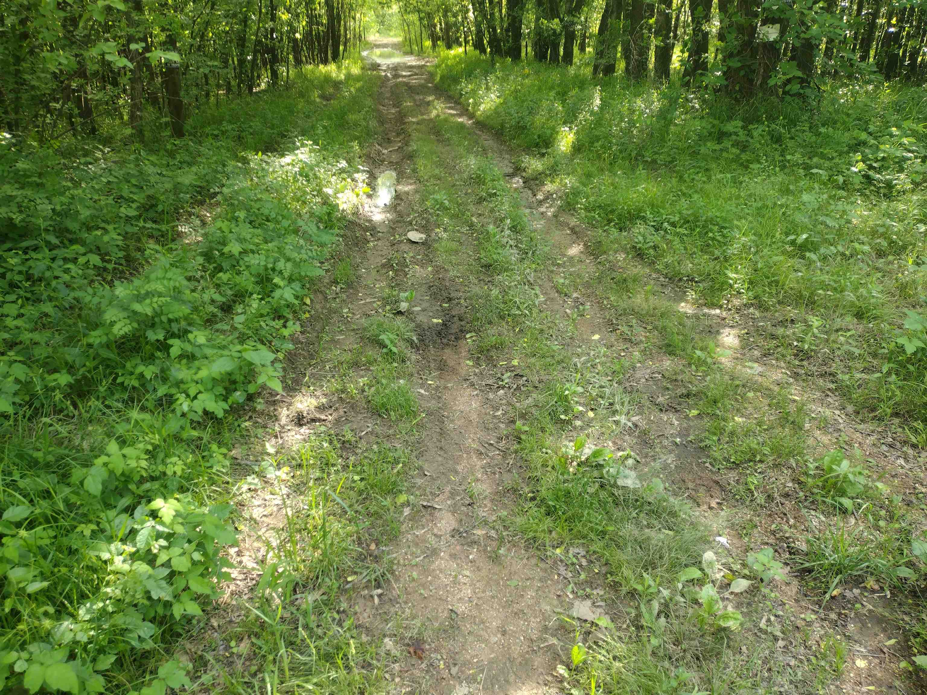 49 Coffee Landing Road Adamsville, TN 38310 - Photo 22 of 23 View of landscape