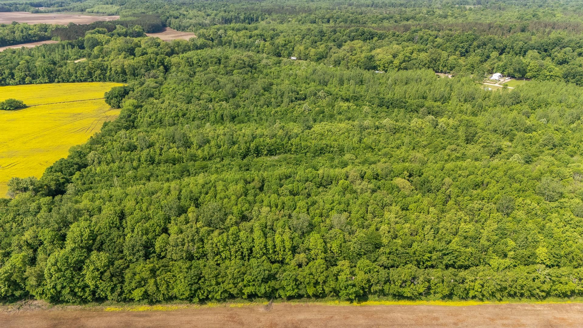 49 Coffee Landing Road Adamsville, TN 38310 - Photo 4 of 23 Drone / aerial view featuring a view of trees