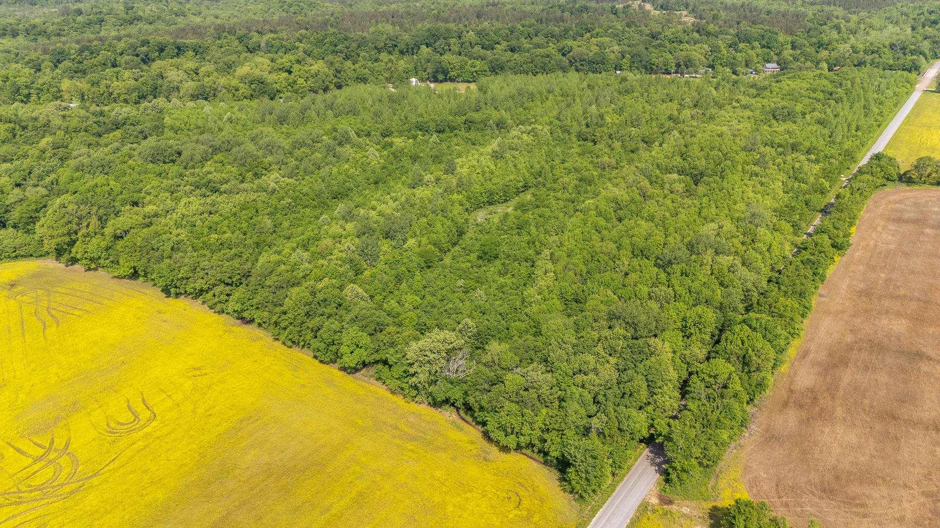 49 Coffee Landing Road Adamsville, TN 38310 - Photo 5 of 23 Bird's eye view featuring a wooded view