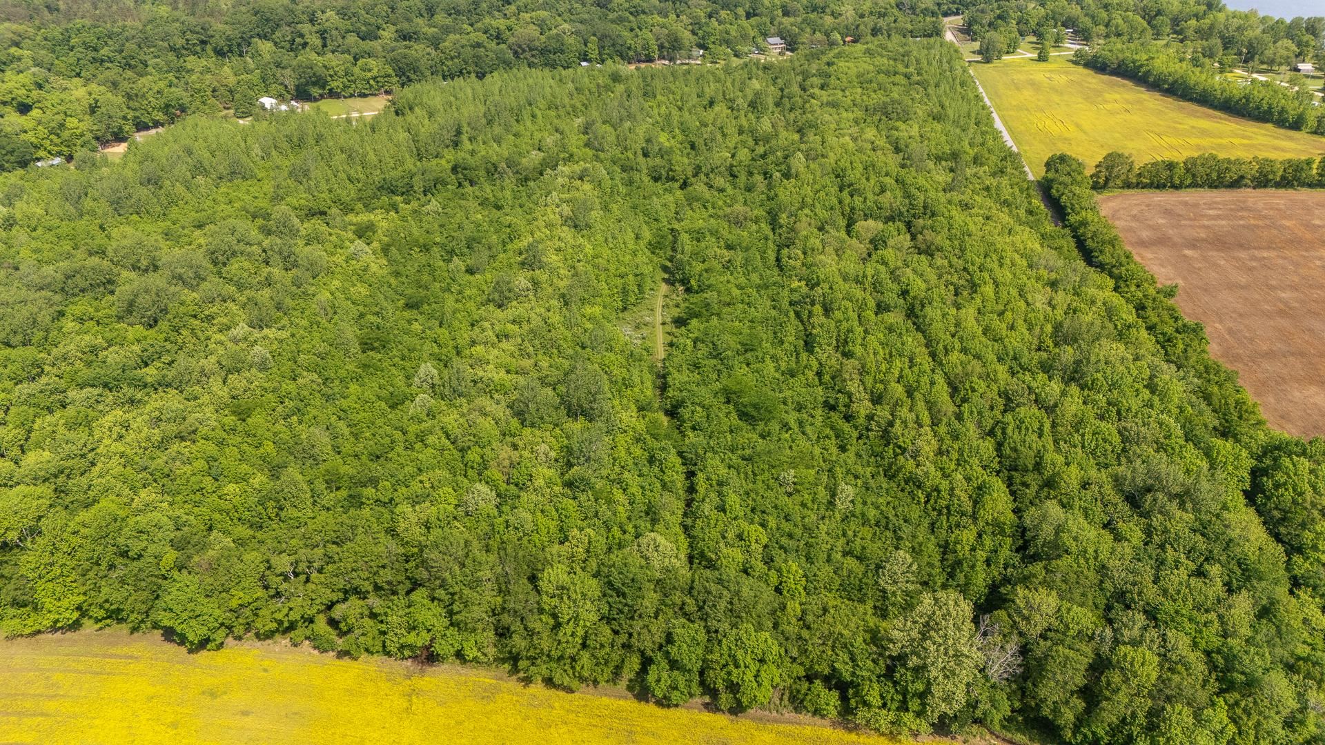49 Coffee Landing Road Adamsville, TN 38310 - Photo 6 of 23 Drone / aerial view featuring a view of trees
