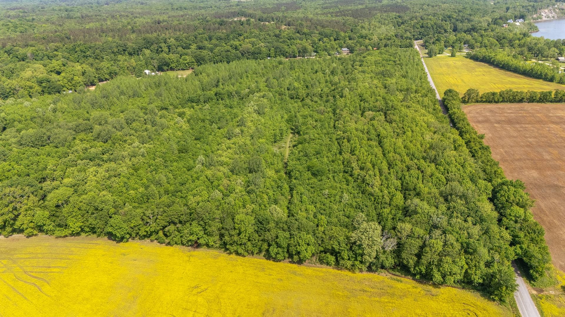 49 Coffee Landing Road Adamsville, TN 38310 - Photo 7 of 23 Aerial view featuring a forest view
