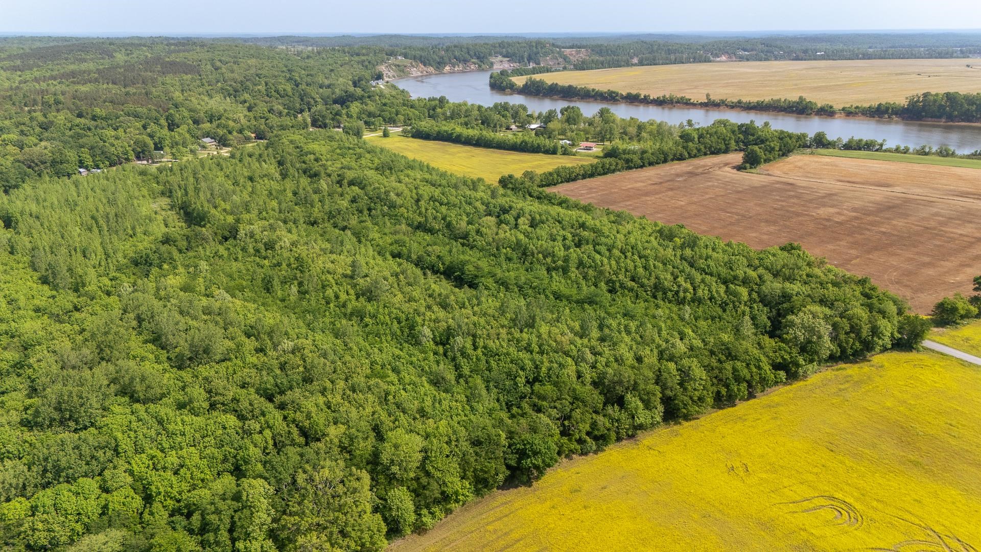 49 Coffee Landing Road Adamsville, TN 38310 - Photo 8 of 23 Birds eye view of property with a water view, a view of trees, and a rural view