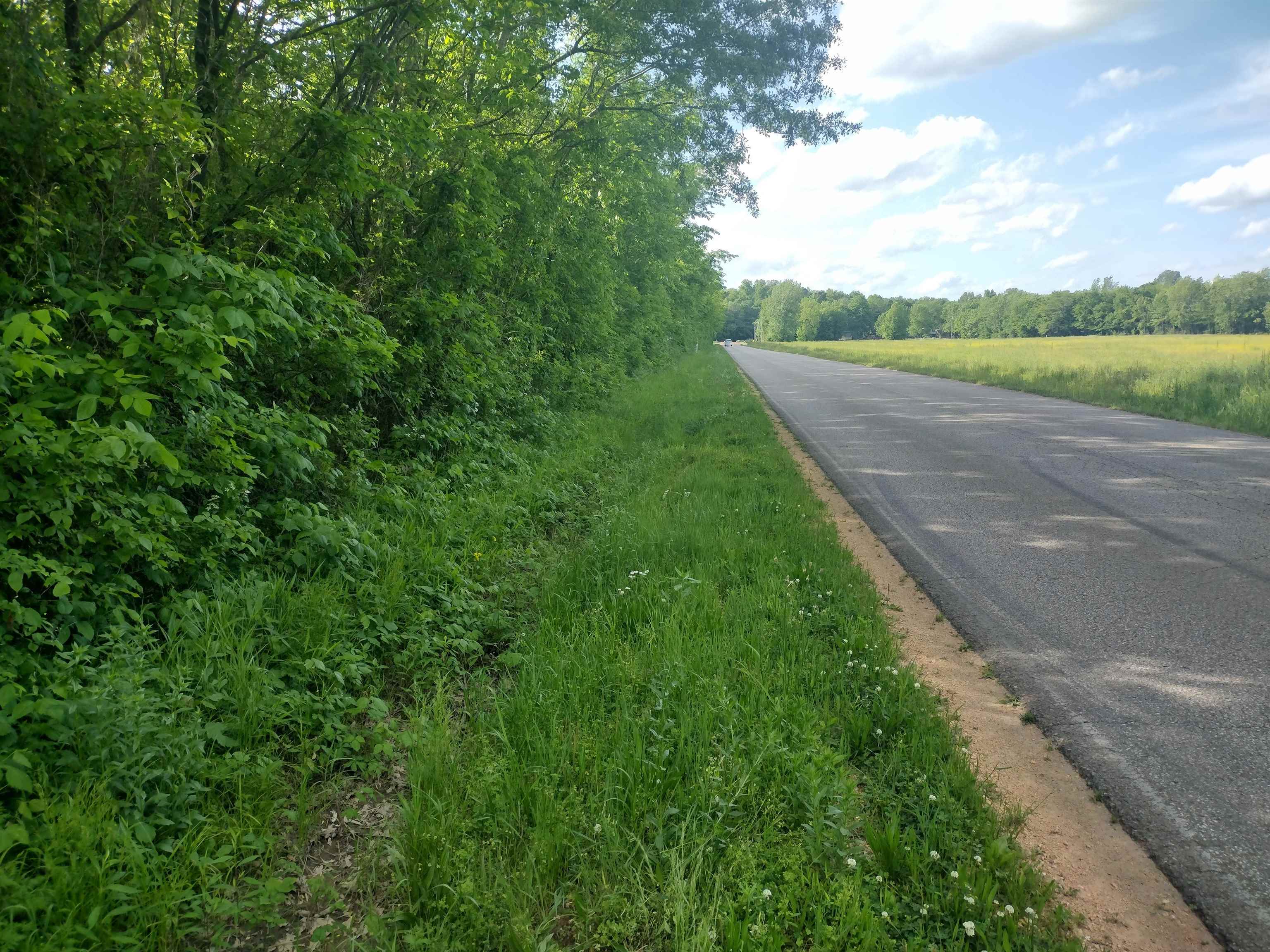 49 Coffee Landing Road Adamsville, TN 38310 - Photo 10 of 23 View of street