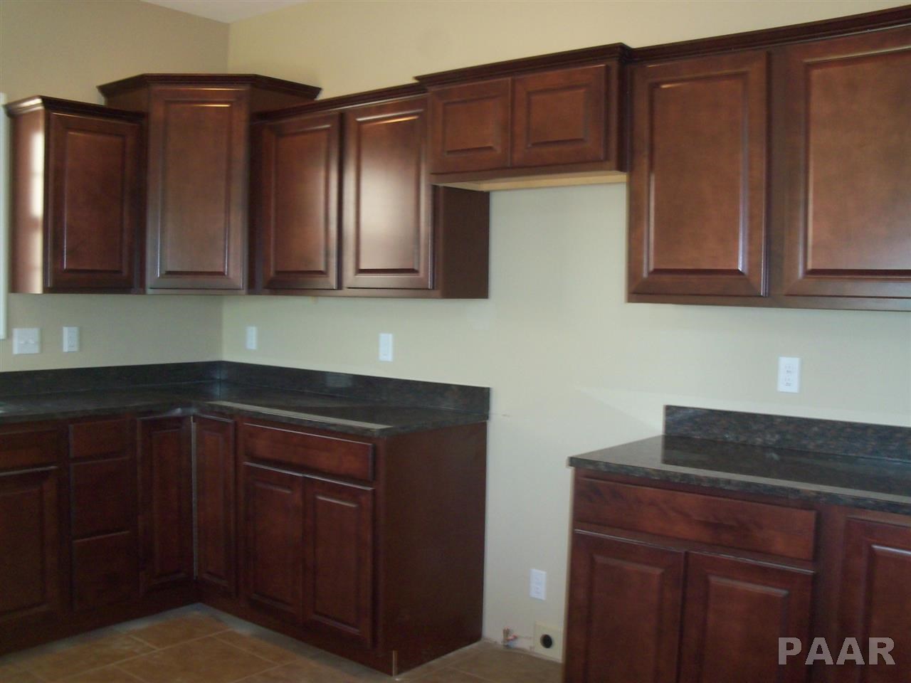 11005 North Tuscany Ridge Court Dunlap, IL 61525 - Photo 4 of 12 Gallery Image 4