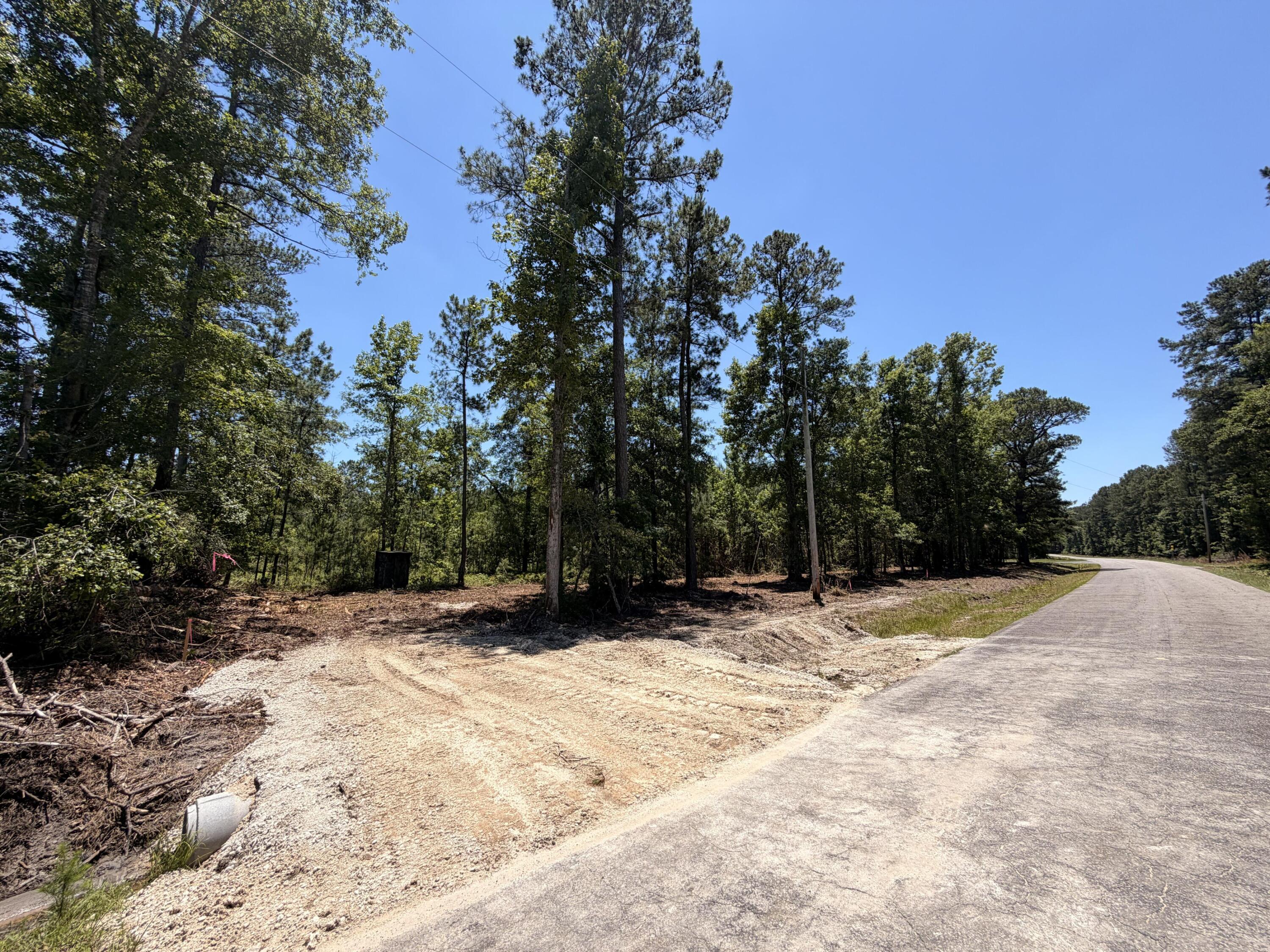 0 Tumbleweed Road Smoaks, SC 29481 - Photo 7 of 11