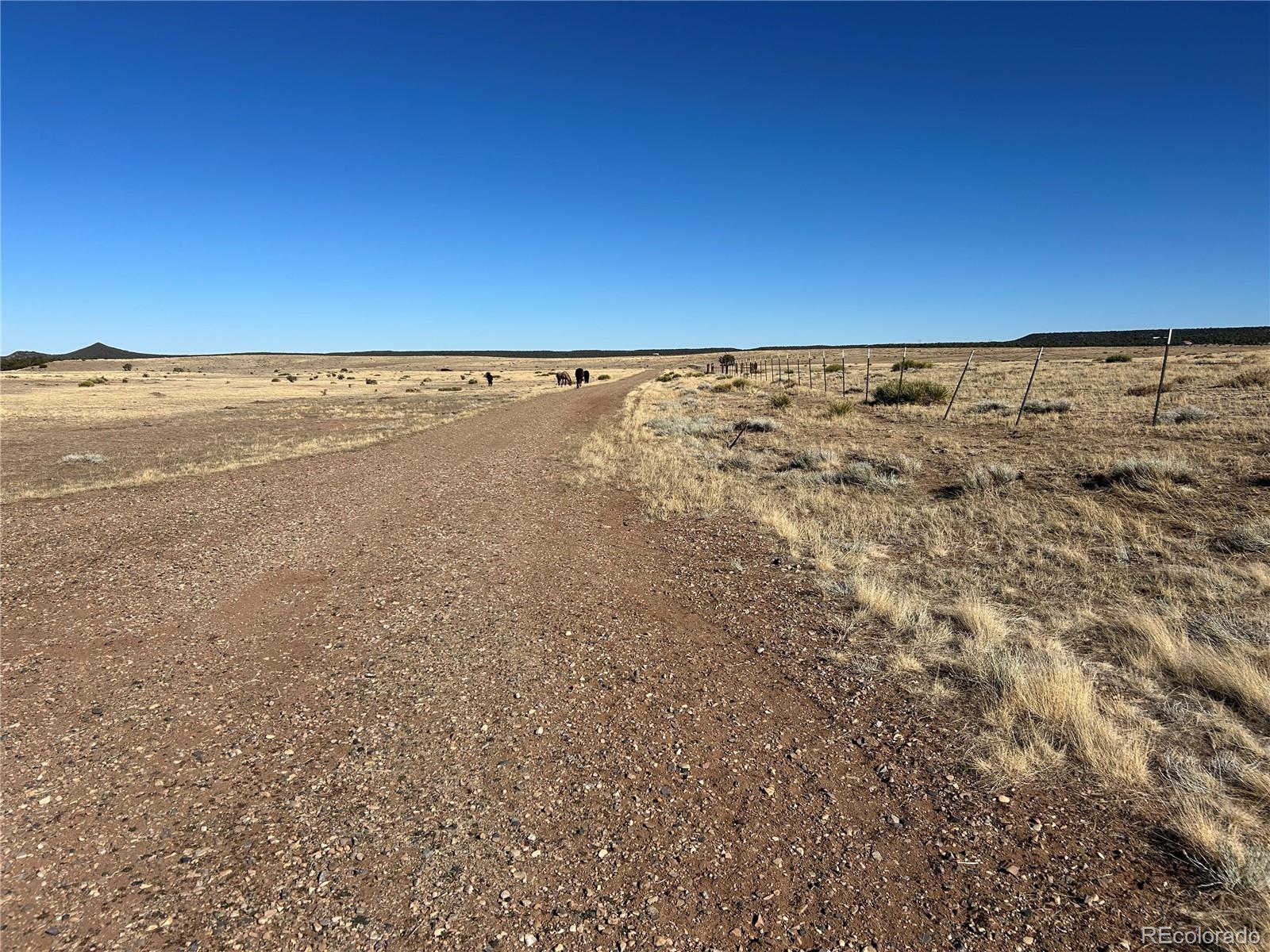 Lot 75 A River Ridge Ranch La Veta, CO 81055 - Photo 14 of 29