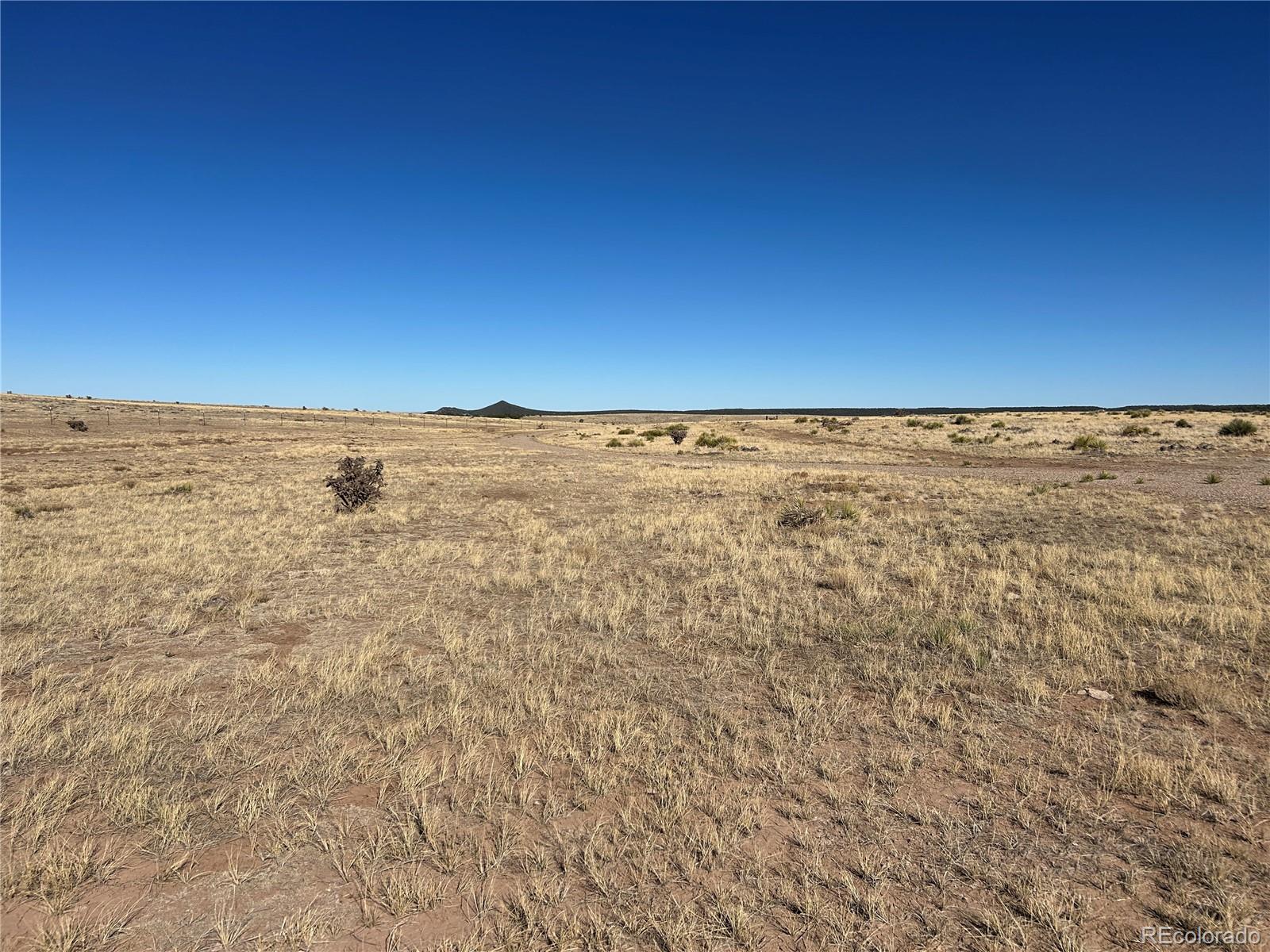 Lot 75 A River Ridge Ranch La Veta, CO 81055 - Photo 15 of 29