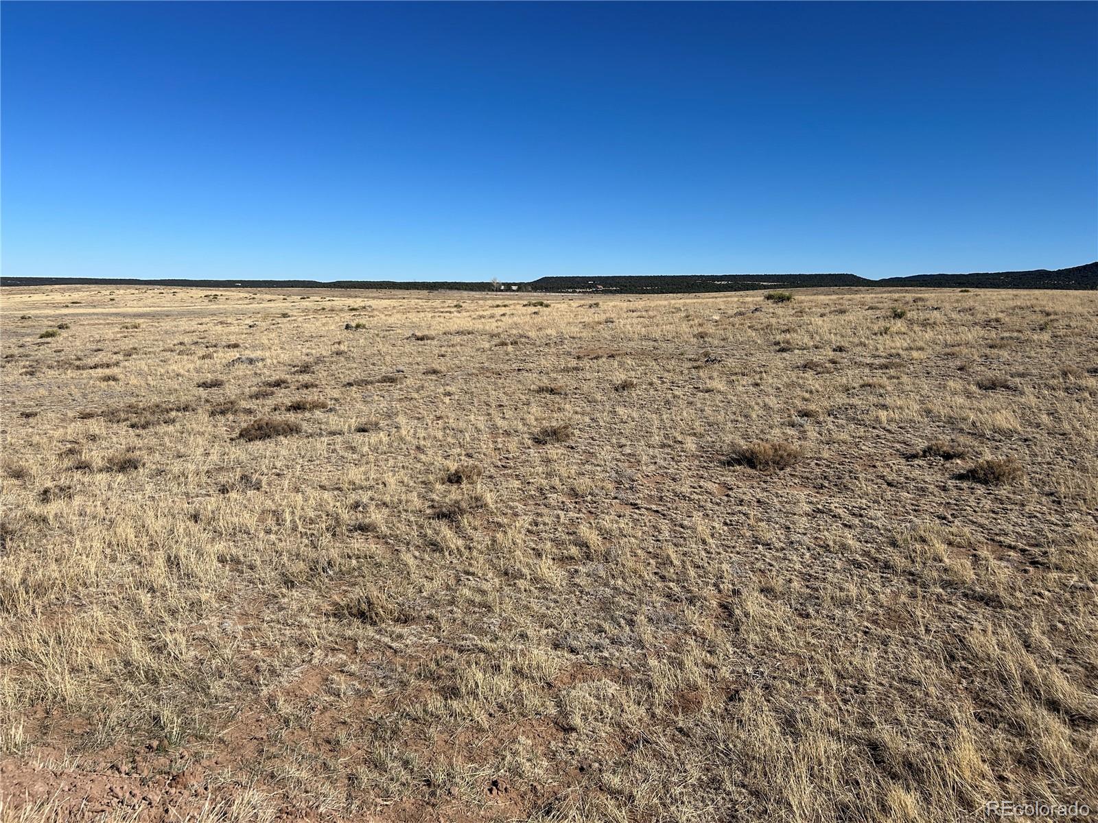 Lot 75 A River Ridge Ranch La Veta, CO 81055 - Photo 19 of 29
