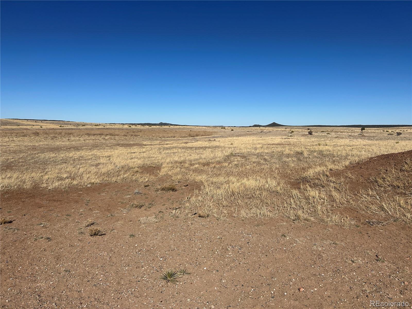 Lot 75 A River Ridge Ranch La Veta, CO 81055 - Photo 21 of 29