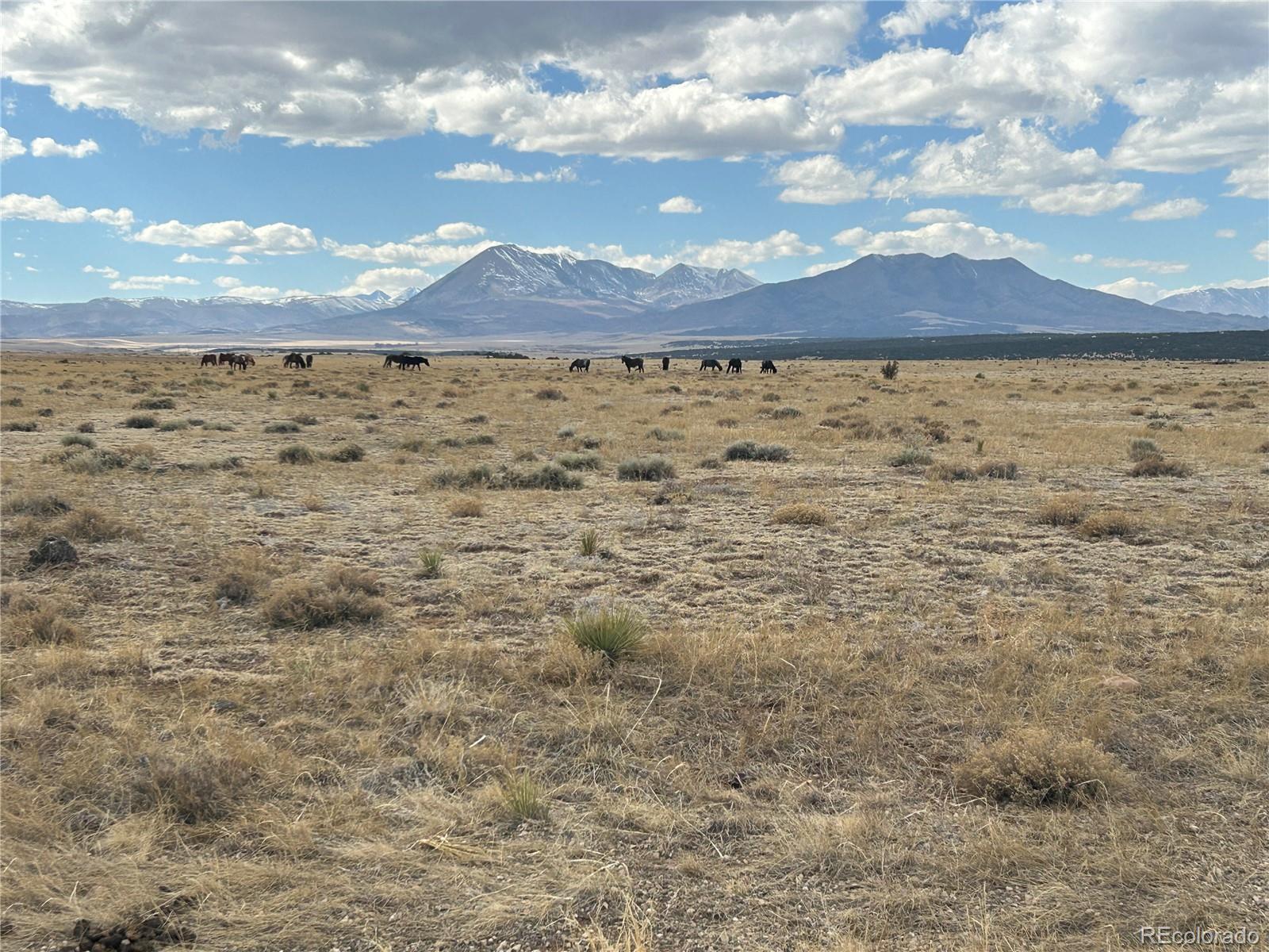 Lot 75 A River Ridge Ranch La Veta, CO 81055 - Photo 28 of 29