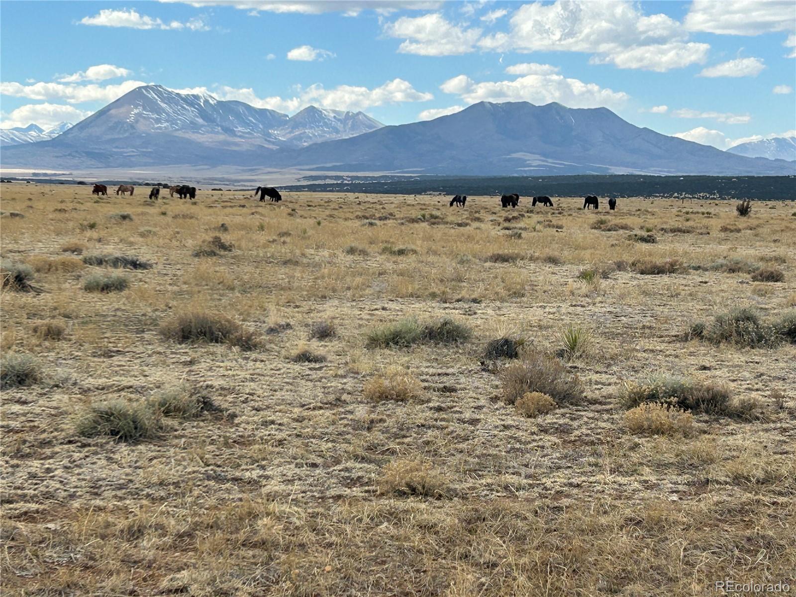 Lot 75 A River Ridge Ranch La Veta, CO 81055 - Photo 29 of 29