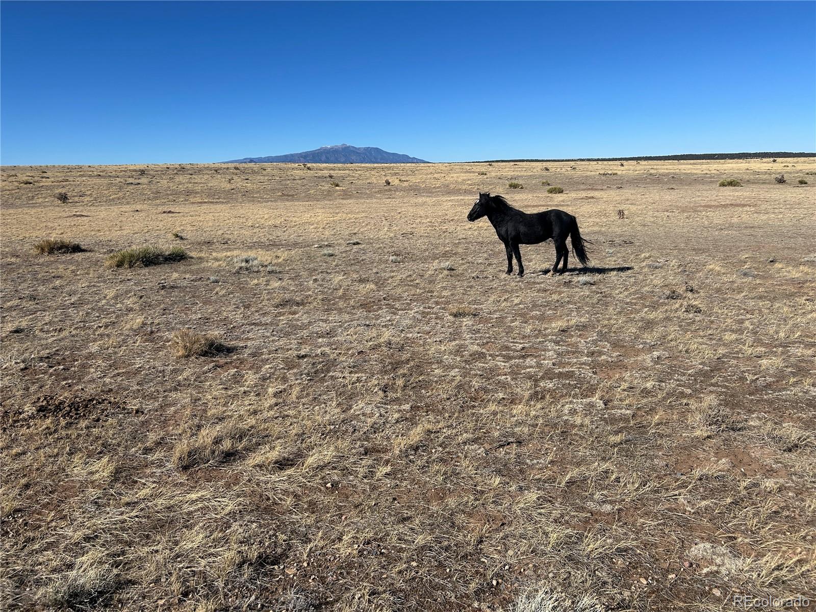 Lot 75 A River Ridge Ranch La Veta, CO 81055 - Photo 7 of 29