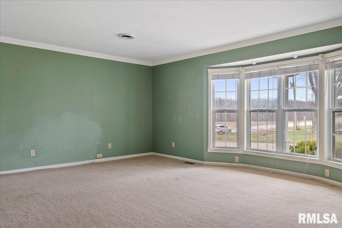 16689 Black Diamond Road Pawnee, IL 62558 - Photo 8 of 60 Gallery Image 8