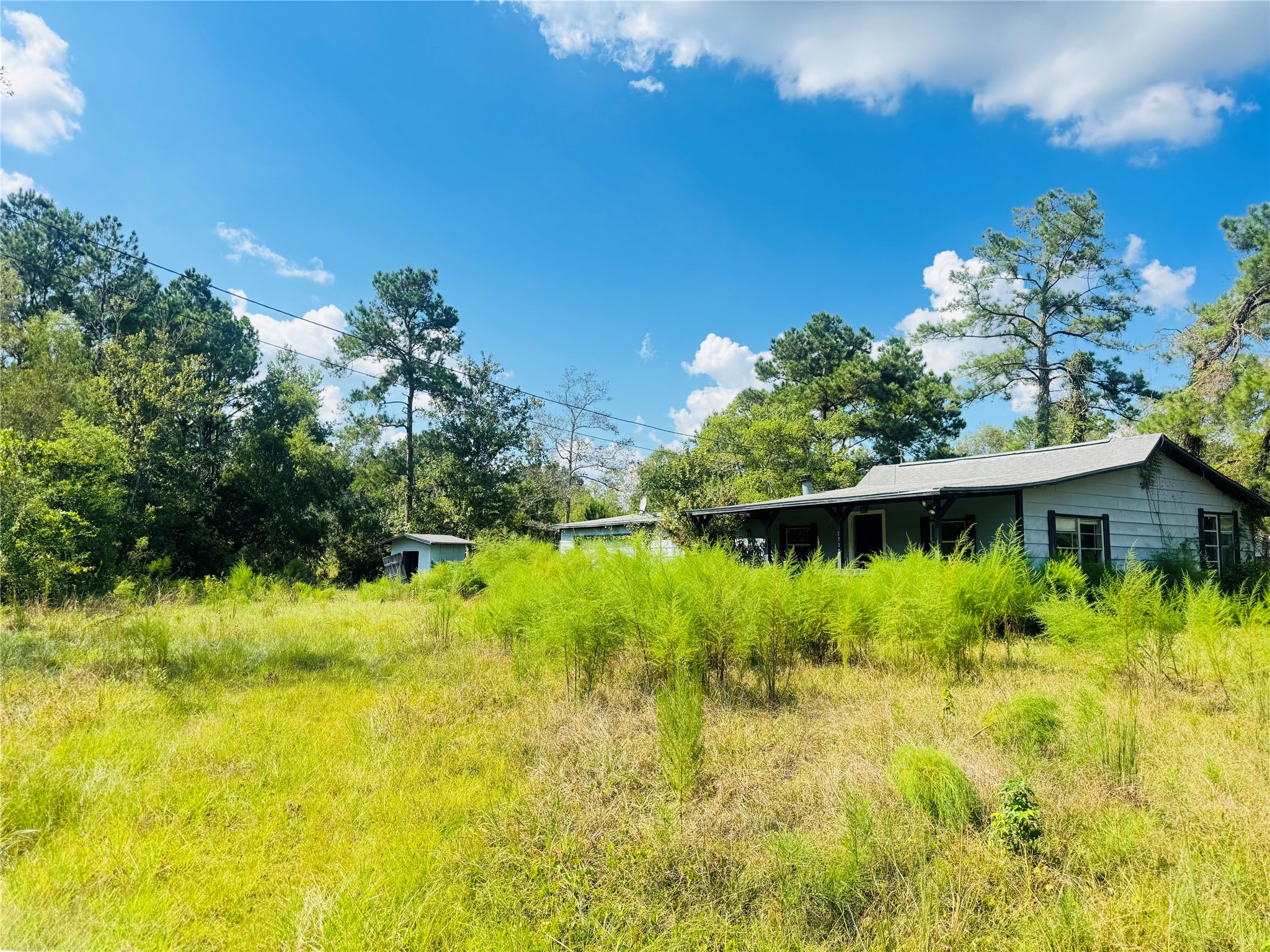 2736 Whitetail Forest Road Kountze, TX 77625 - Photo 14 of 17 Gallery Image 14