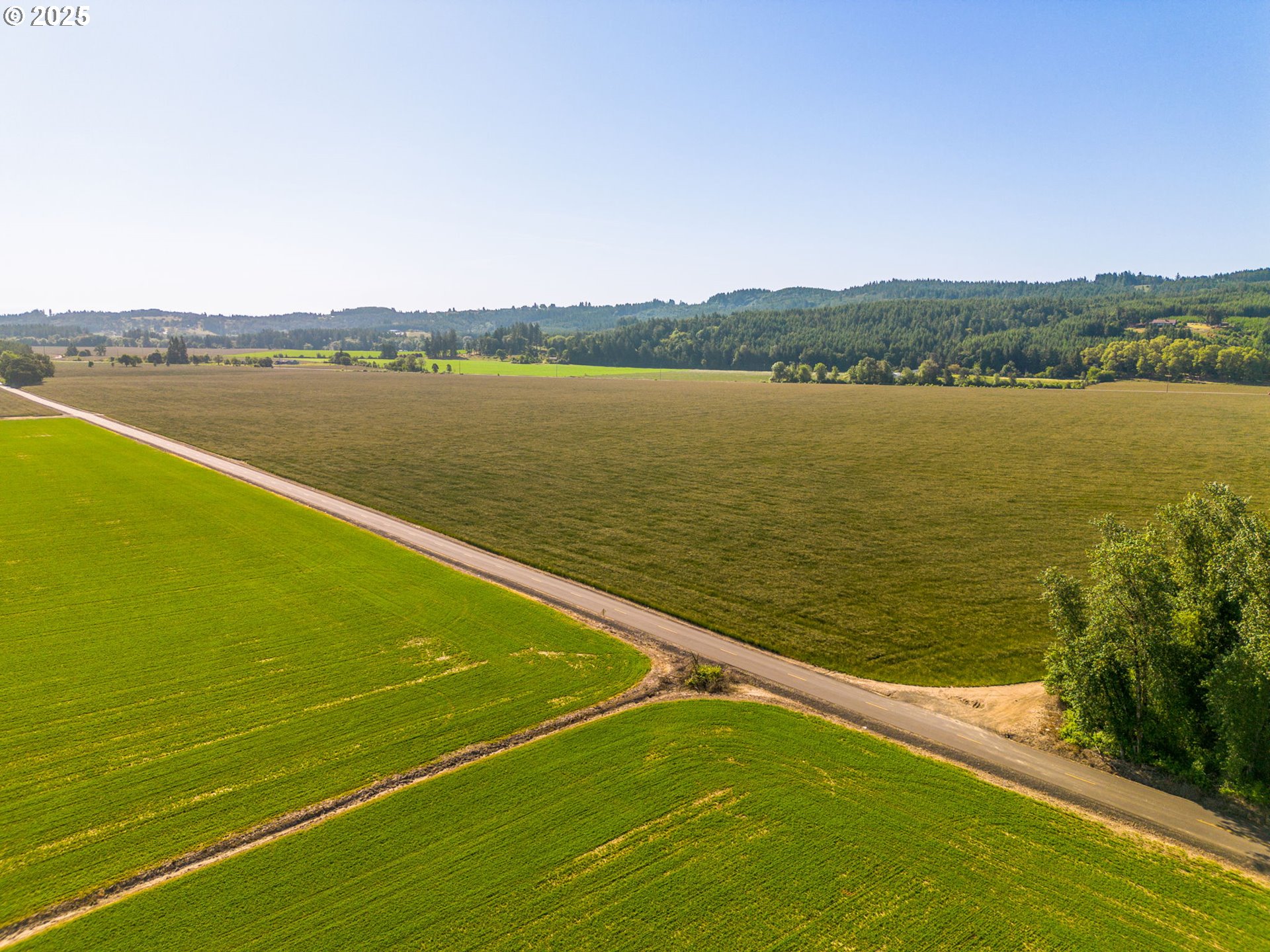 Southeast Whiteson Road Amity, OR 97101 - Photo 13 of 20