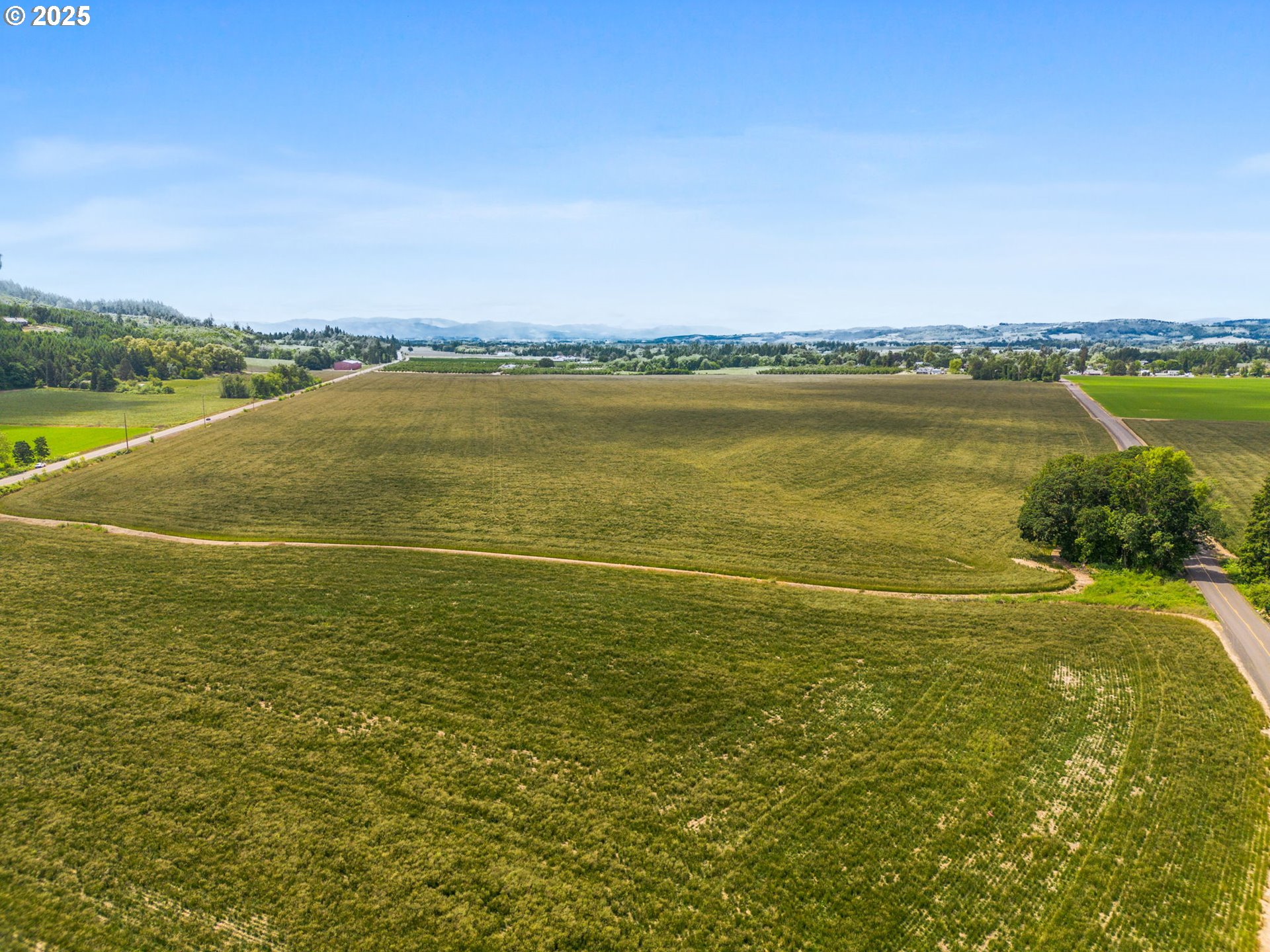 Southeast Whiteson Road Amity, OR 97101 - Photo 5 of 20