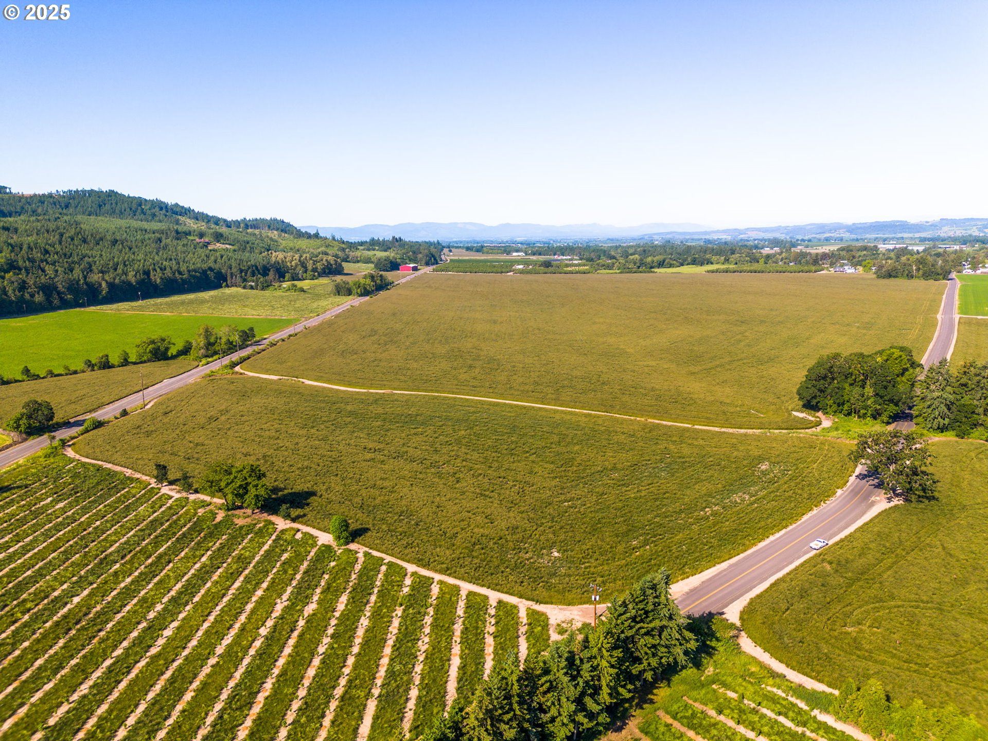 Southeast Whiteson Road Amity, OR 97101 - Photo 8 of 20