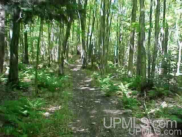 Tbd Off Center Street Munising, MI 49862 - Photo 3 of 3