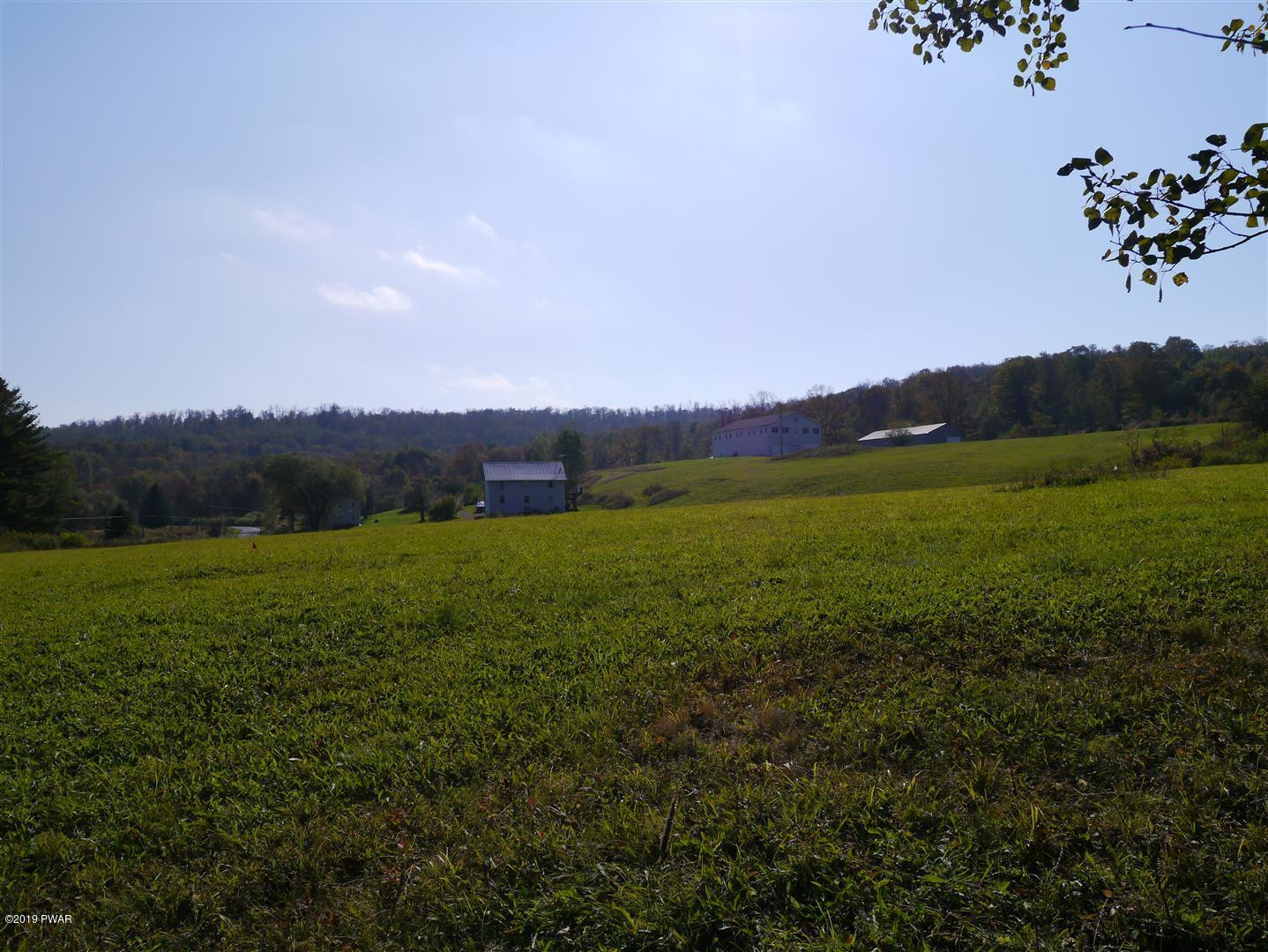 695 Pine Mill Road Equinunk, PA 18417 - Photo 62 of 68