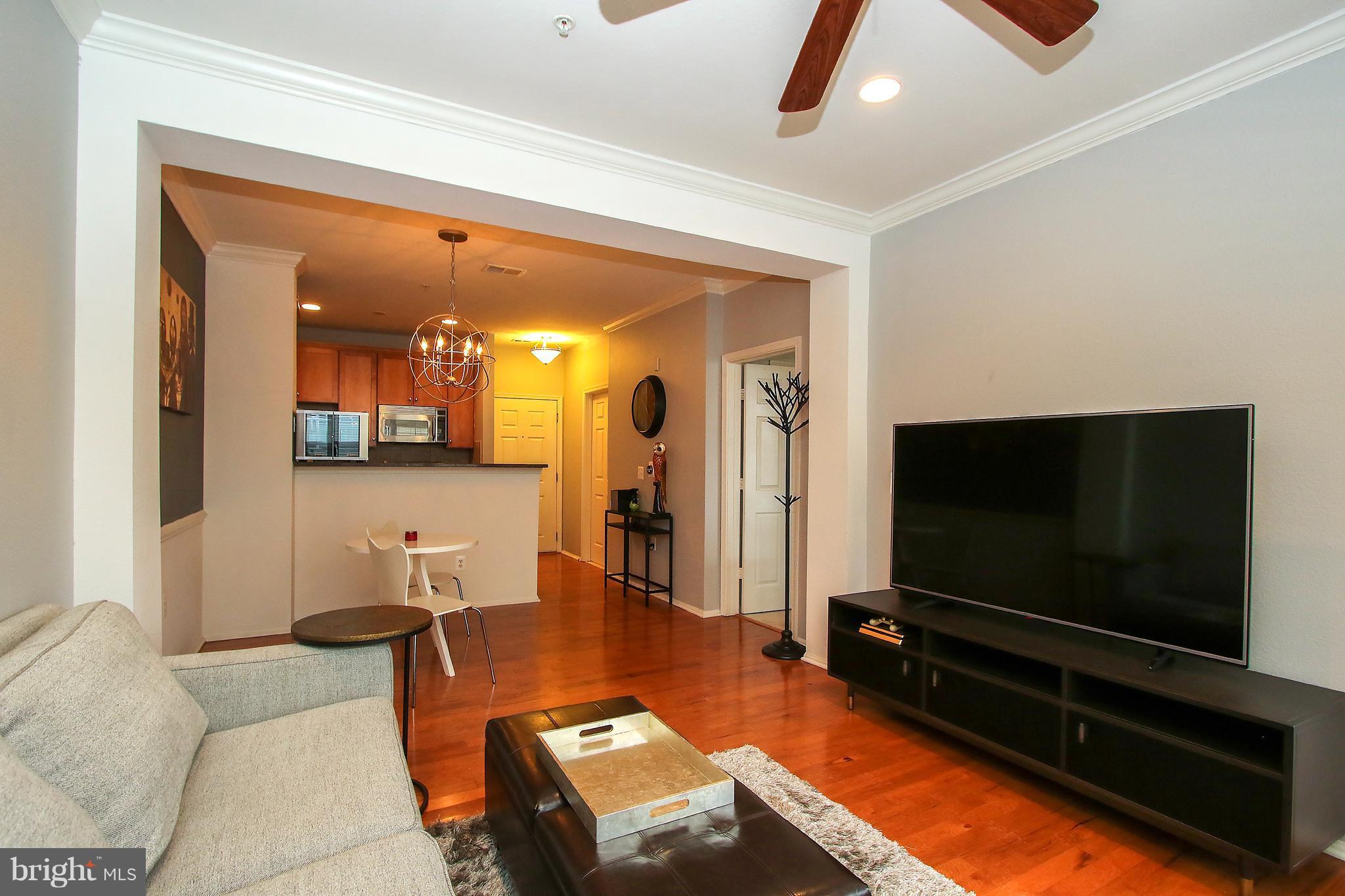 11750 Old Georgetown Road, Unit 2523 North Bethesda, MD 20852 - Photo 19 of 30 Living Room