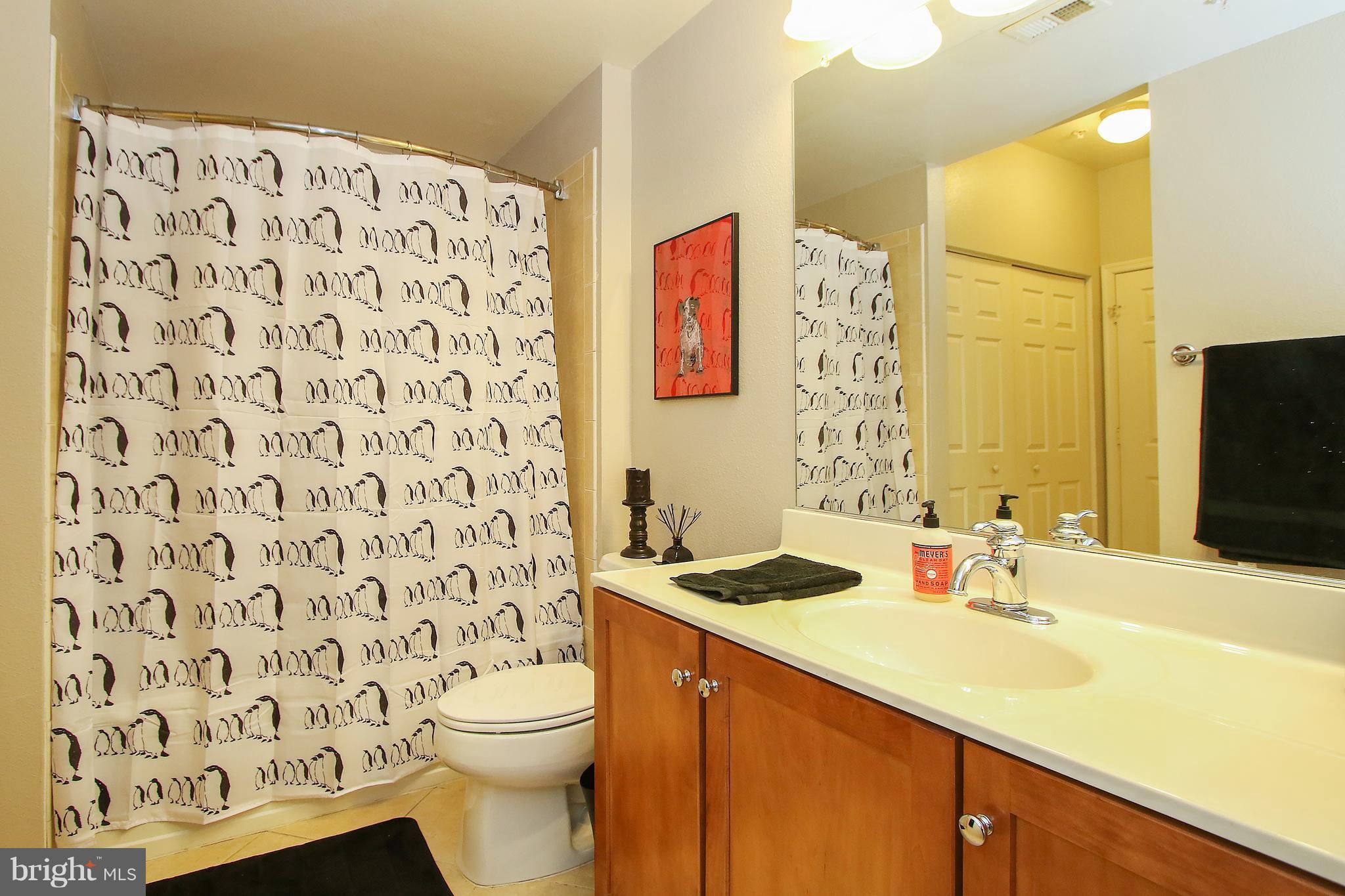 11750 Old Georgetown Road, Unit 2523 North Bethesda, MD 20852 - Photo 29 of 30 Bath (Master)
